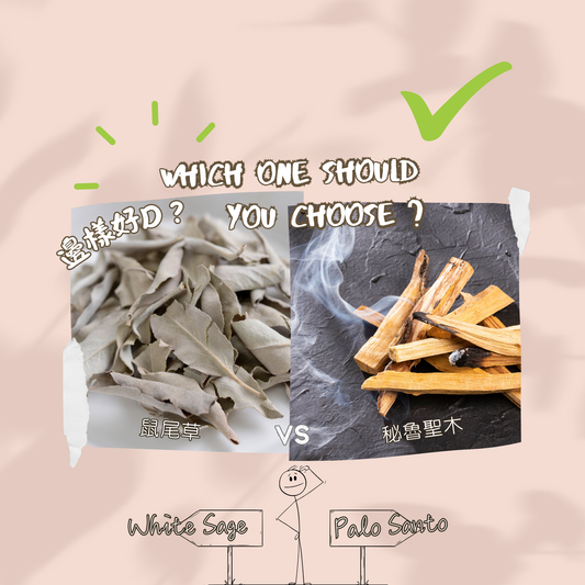 鼠尾草🍃vs 聖木🪵 淨化神器,那種適合自己?